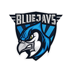 BLUEJAYS BLUEJAYS