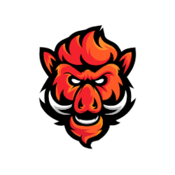 Boars Gaming Boars Gaming