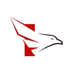 FALKE ESPORTS FALKE ESPORTS