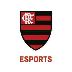 Flamengo Academy