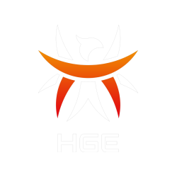 FALKE ESPORTS HGE Esports