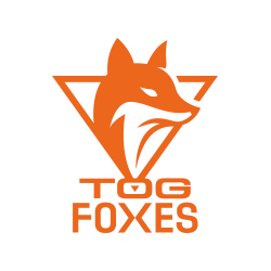 6GPA TeamOrangeGaming Academy