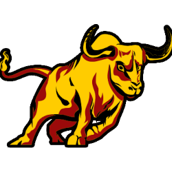 CSDIILIT smuuttikusilkki