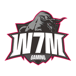 W7M Esports